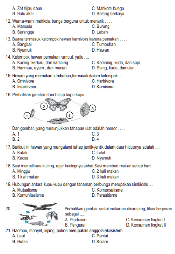 Rahasia Nilai Sempurna dengan Latihan Contoh Soal IPA Kelas 4 Semester 1 Terbaru